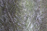 Brandwood End fibreglass roof work